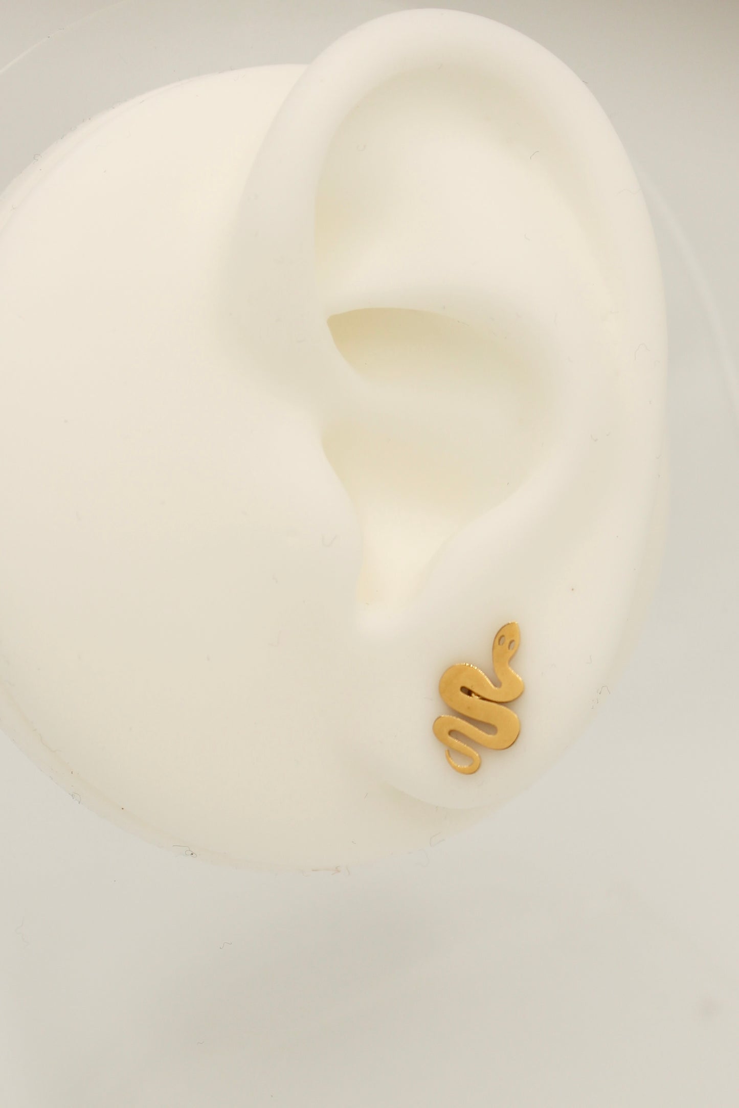 Cornelia Studs