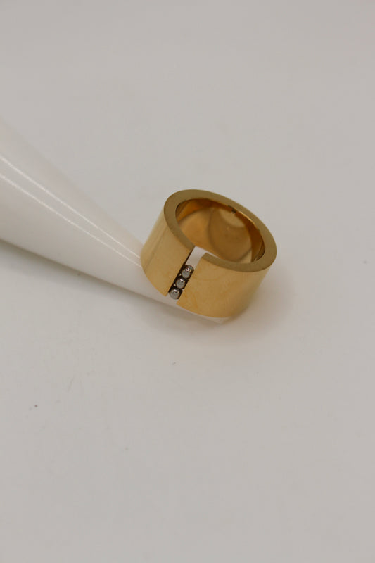 Pashan Fidget Ring