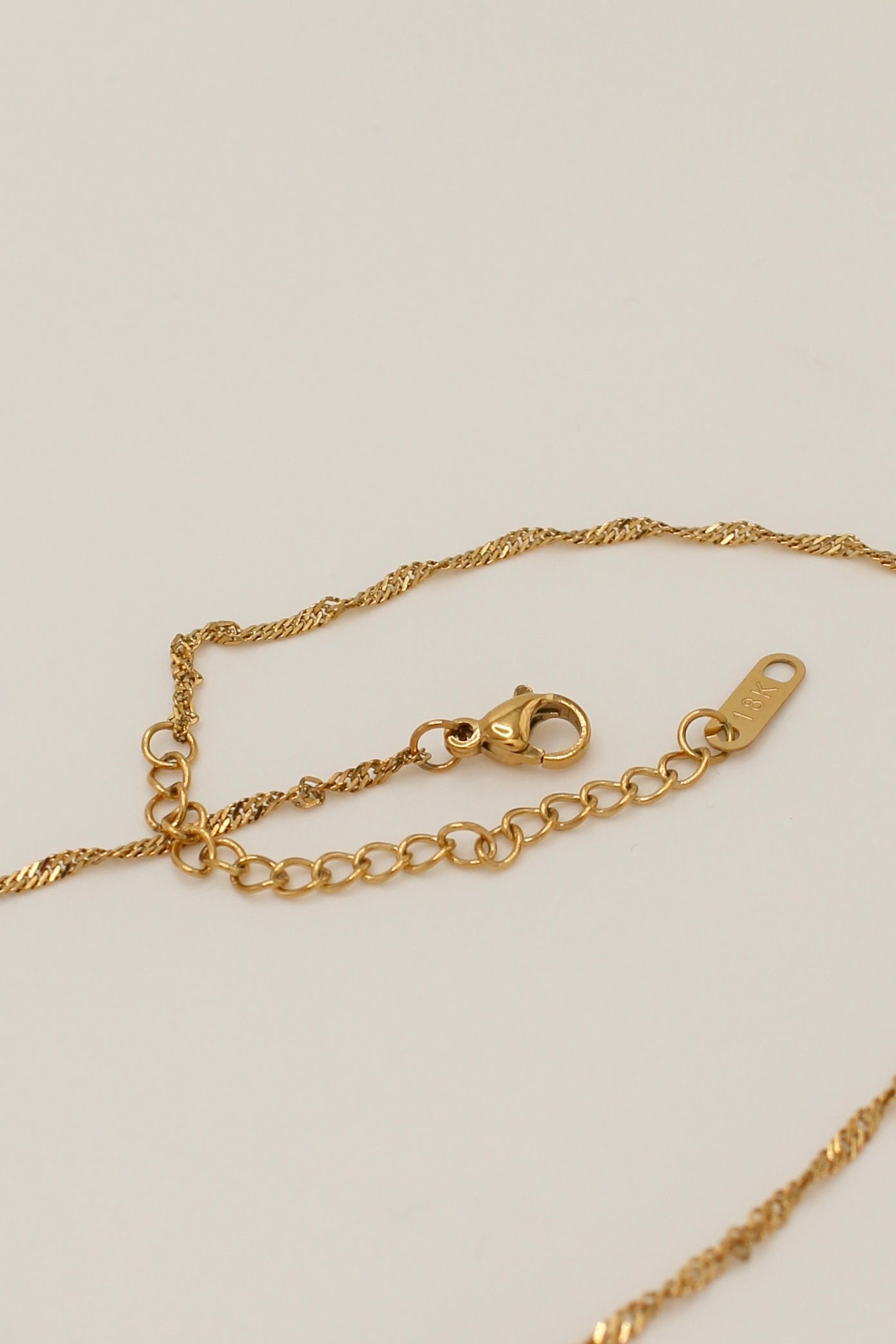 Raven Necklace