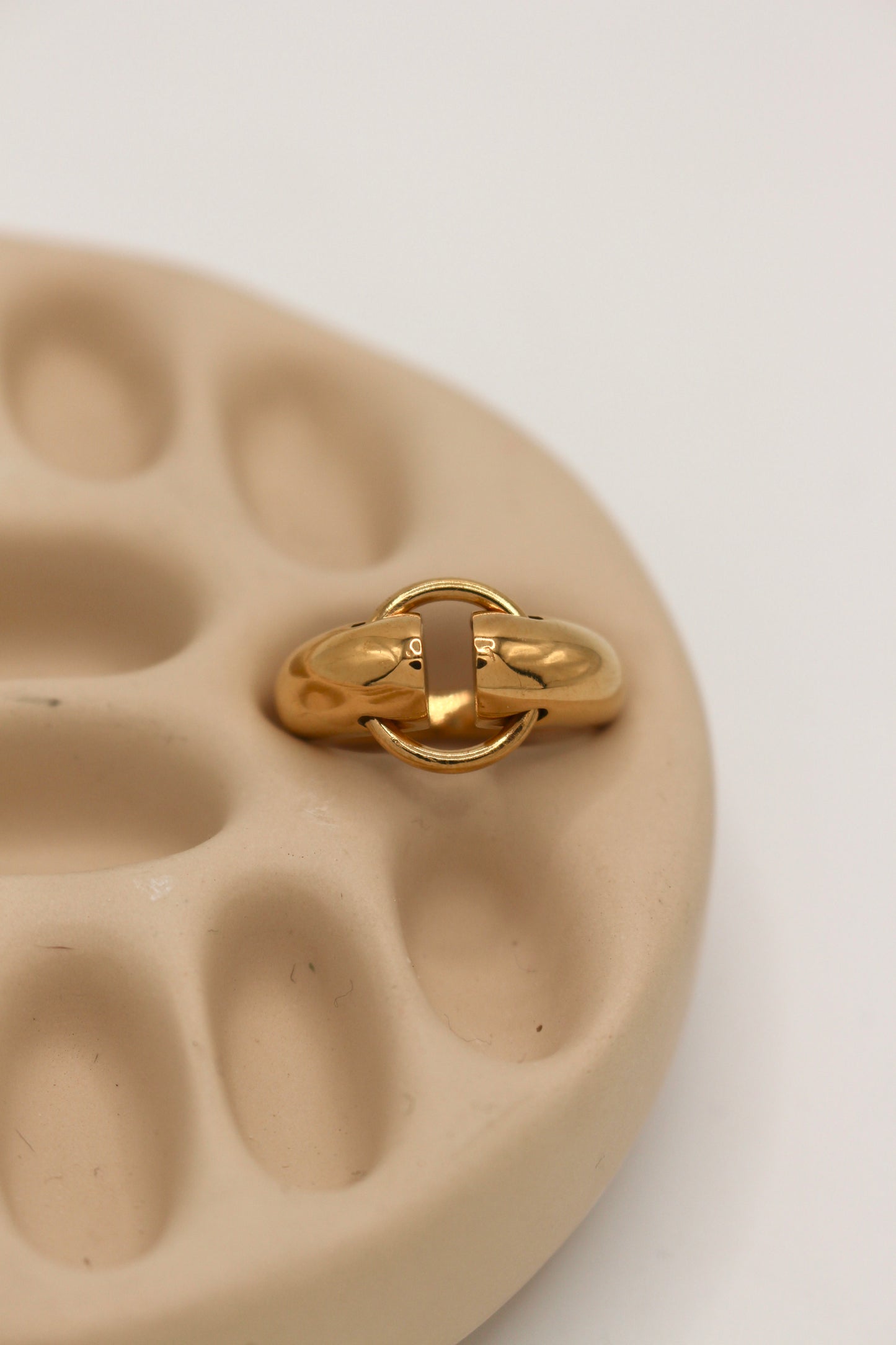 Hebi Fidget Ring