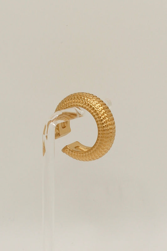 Inez Earcuff