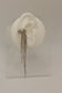 Tahoma Ear Cuff