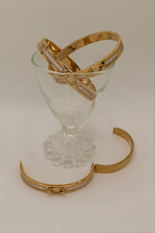 Erel Bangle