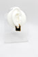 Carrington Mini Hoops