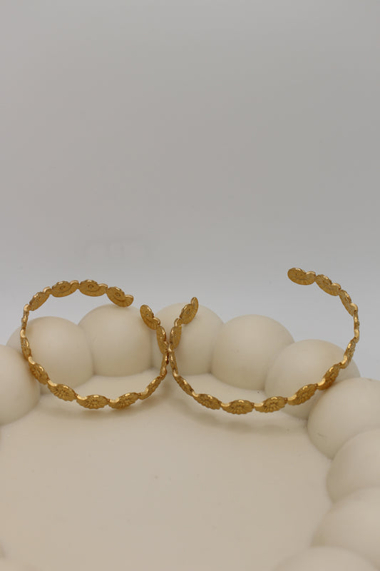 Ola Bangle