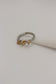 Corpus Ring