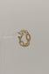 Brunei Ring