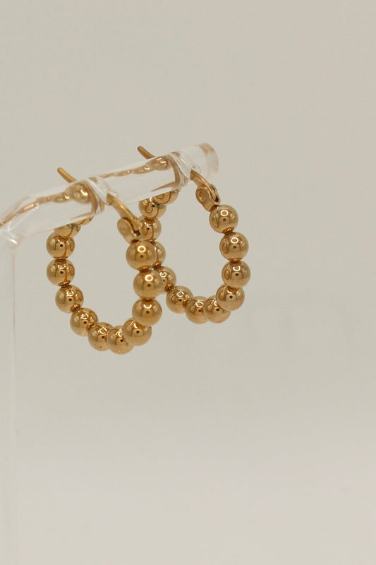 Diega Hoops